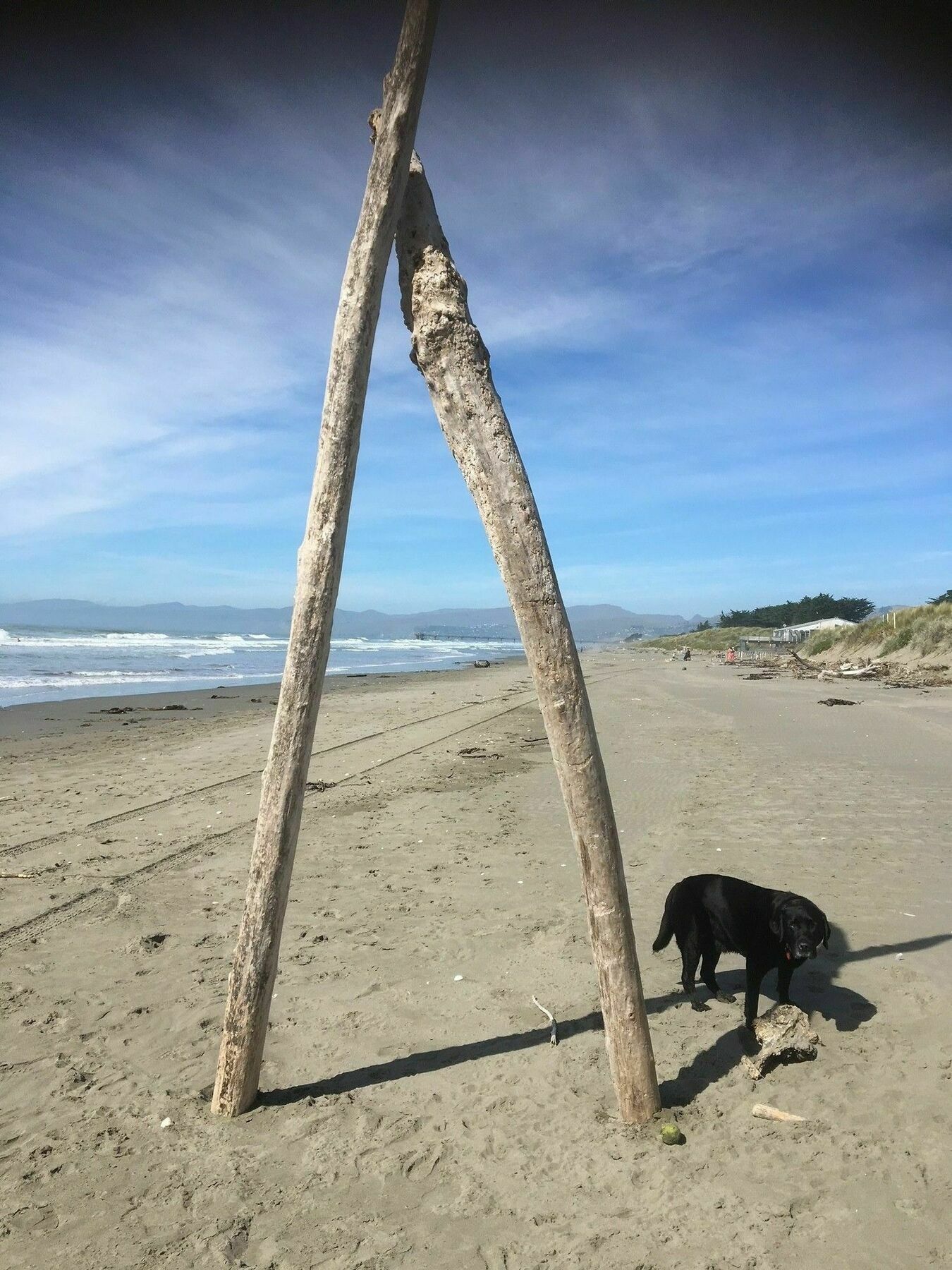 Sandy Feet Accommodation Christchurch Extérieur photo
